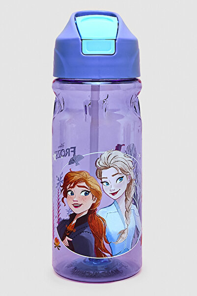 R&B Frozen Print Sipper Water Bottle - 500ml