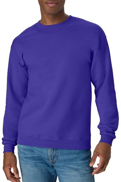HANES Men's EcoSmart Sweatshirt