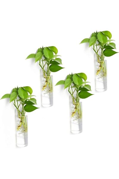ELECDON Wall Hanging Glass Planters, Terrarium, Plant Containers, Wall Vase f...