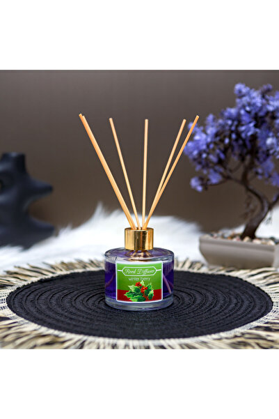 Alista Home Difuzor de parfum pentru cameră, 100 ml, aromă de fructe de iarnă