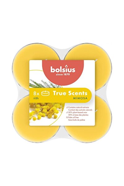 Bolsius Lumanari Pastila, 8 Ore, Mimosa, Bolsius, 8 Bucati