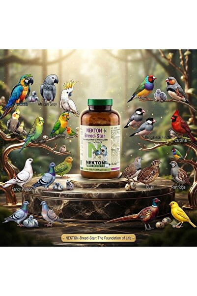 Nekton -Breed-Star Vitamin Supplement for Breeding Birds 600g – High Vitamin E, Amino Acids, Minerals & Trace Elements for Fertility and Healthy Hatchlings