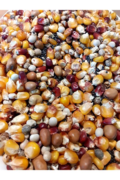 NO BRAND Hrană pentru pești Porumb Bobik Konopia Lubin 5x1Kg