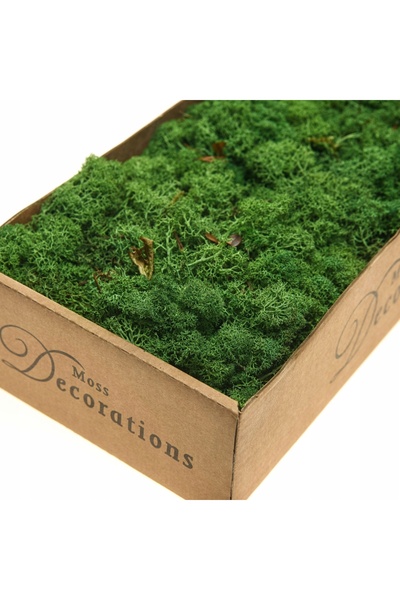 NO BRAND MECH VERDE FINLANDEZ DECOR NATURAL DECORATIV 500G