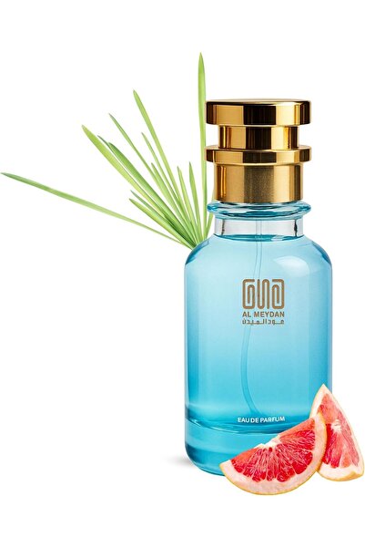 OUD AL MEYDAN ’s Creation Oil-Based Perfume for Men Inspired by Homm Spôrt – ...