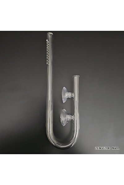 EuroStar Zengezur Glass Horse Suction Pipe Straight (162507) 13 mm