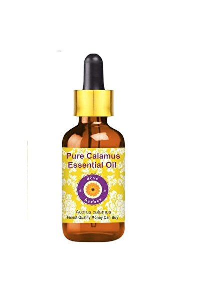 Generic Brand Deve Herbes Pure Calamus Essential Oil (Acorus calamus) With Gl...