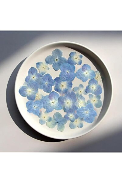 Generic 48 Pcs Dried Pressed Flowers for Resin DIY Art - Natural Dry Hydrange...