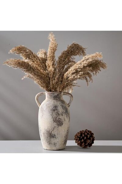 Generic Brand Ceramic Vase with Handles, 9.84 Inch Rustic Farmhouse Decorativ...