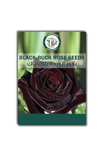 Generic Rose Seeds for Planting - Rose for Planing in Garden Indoor/Outdoor. ...