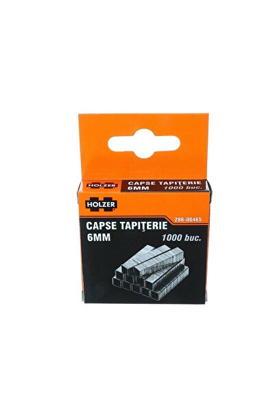 OEM Capse tapiterie, 6 mm, Holzer 286-00465, set 1000 bucati