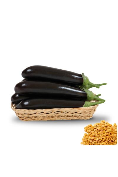 Yerli 1000 Ad. Uzun Patlıcan Tohumu Kemer 27 (eggplant). 1 M² Için 6-9 Ad Tohum