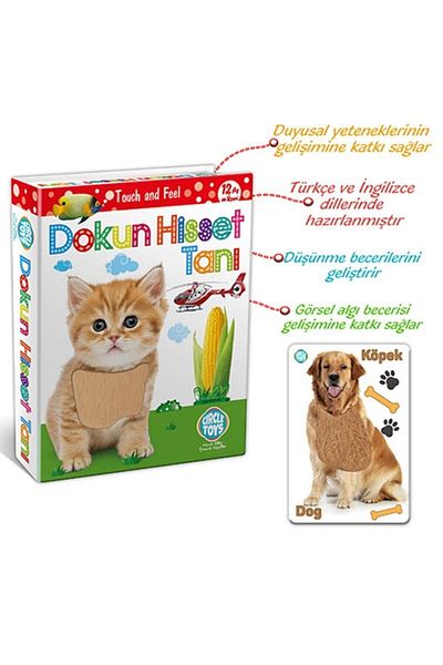 Circle Toys مجموعة تشخيص الحيوانات المغناطيسية واللمس