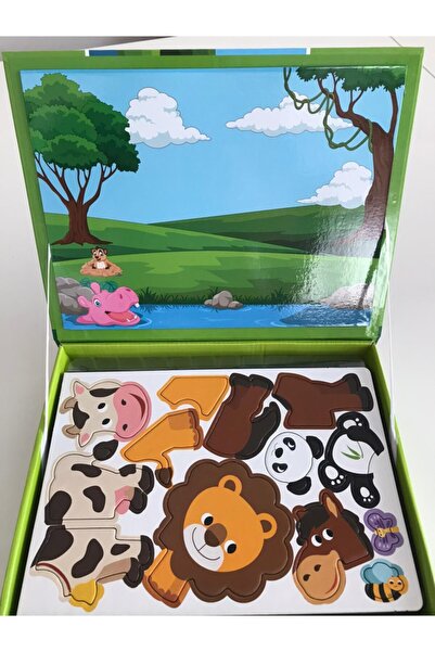 Diytoy Manyetik Hayvan Tamamlama