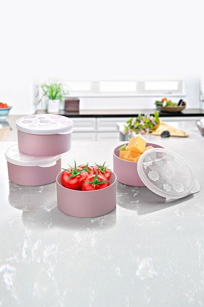 Nandy Home Mini Plastic Storage Set of 4 - Coller Free Bpa