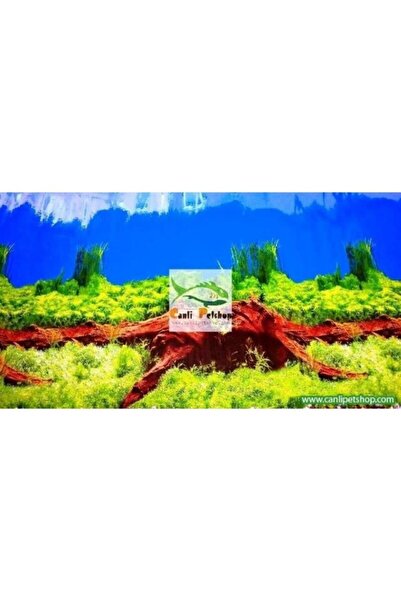 TROPİKAL Arka Fon No 9008 (MANGO KÖKÜ) 50 Cm Uzunluk (50 Cm Yükseklik)