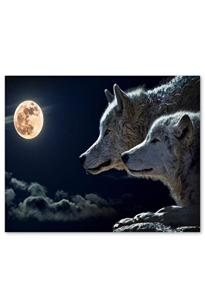 Genel Markalar Cakasepetim Dolunay Gecede Kurt ve Yavrusu 1000 Parça Puzzle Y...