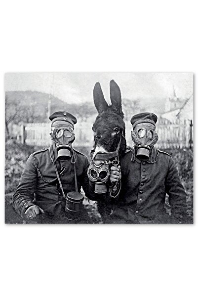 Genel Markalar Gaz Maskeli Askerler Ve Eşek Sb 1000 Parça Puzzle Yapboz Mdf(ahşap)