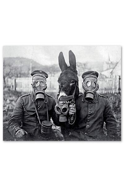 Genel Markalar Gaz Maskeli Askerler Ve Eşek Sb 1000 Parça Puzzle Yapboz Mdf(a...