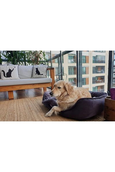 Patili Evler Dog Bed with Bone Cushion 70x90 Cm Large Wipeable No Lint Collect Scratch Resistant