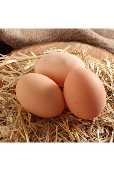 Genel Markalar Köy Yumurtası (15 Adet)