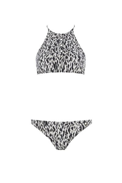 Sand & Blue Lonicera Contrast