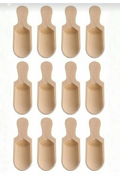 Kitchen Pembelia 12 Mini Shovel Spice Spoons