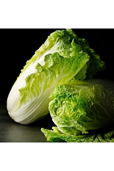 Mutlu Paket Doğal Kasam Yedikule Marul Fidesi (5 Adet)