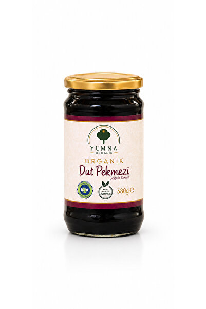 Yumna Organik Organik Sertifikalı Dut Pekmezi Soğuk Sıkım Şeker İlavesiz 380 Gr.