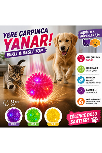 CANSPORT LED IŞIKLI SESLİ KEDİ VE KÖPEK TOPU MASAJ TOPU DİKENLİ DÜDÜKLÜ TOP