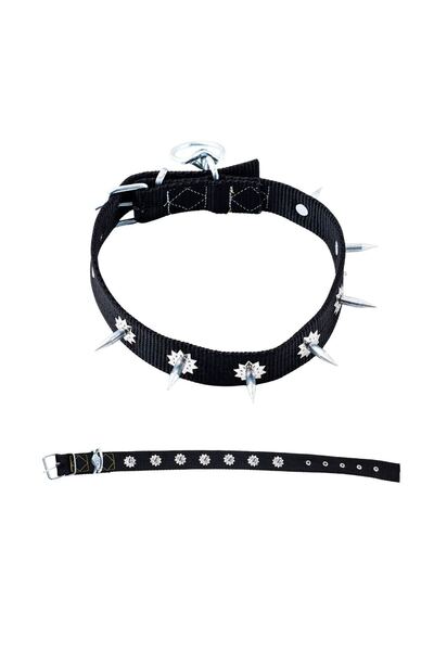 Genel Markalar Dokuma Çivili Köpek Boyun Tasması - 4*70 cm - Siyah