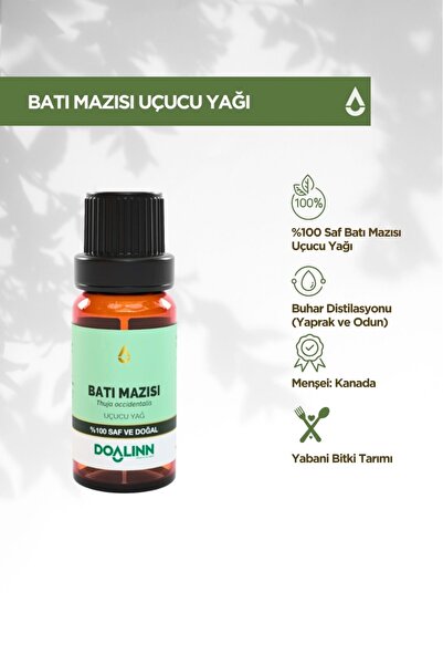 Doalinn Western Thuja Essential Oil (Thuja Occidentalis L.) 10 Ml.