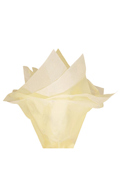 Papette Set 200 bucăți Hârtie de mătase 17g IVORY - 50 x 75cm