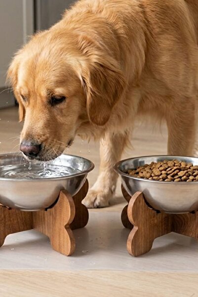RealWood Büyük Irk Köpekler İçin Paslanmaz Çelik Mama ve Su Kabı - Çapraz Aya...