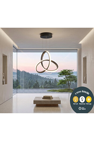 Lzy Avize Store Twisted Siyah Modern Sarkıt LED Avize 3 Renk | Yatak Odası ve...