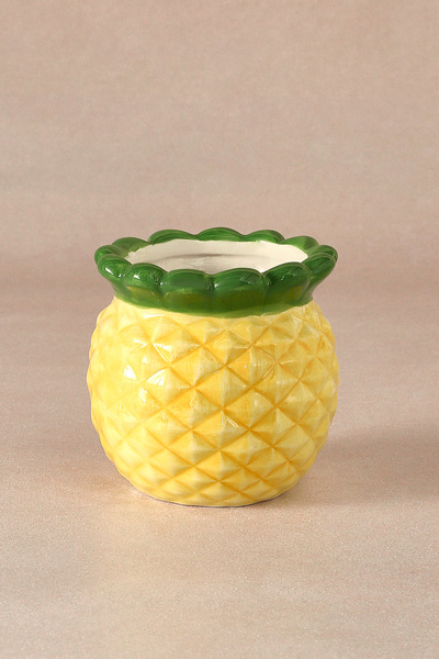 Karaca Pineapple Ananaslı Mini Saksı 295 ml