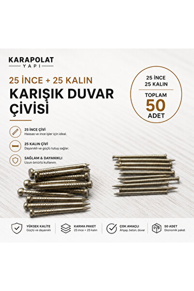 KarapolatYapı 50 Adet Karışık Duvar Çivisi - 25 İnce + 25 Kalın Beton Çivisi