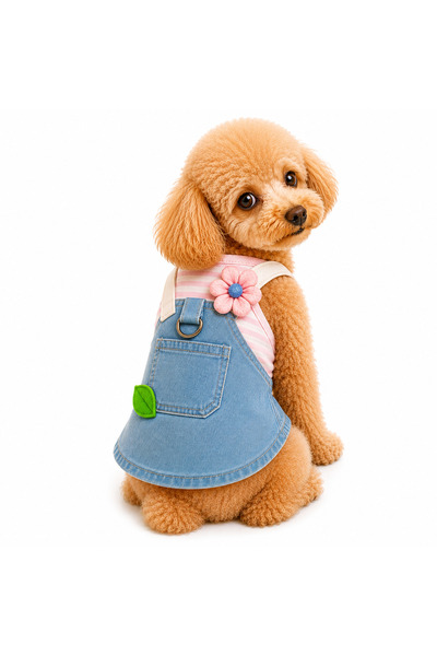 Dolce Pets Kedi Köpek Kıyafeti Flower Tasmalı Kot Elbise