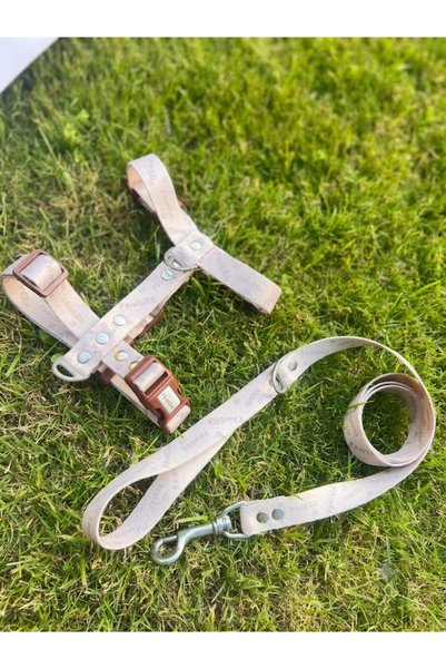 Pawera Functional Soft Textured Dog Harness Set - Adjustable Sturdy Walking Strap