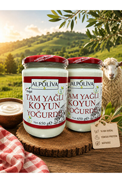 ALP EZİNE YOĞURDU ALPOLİVA Koyun Yoğurdu 2 Adet * 650g Koyun Yoğurdu