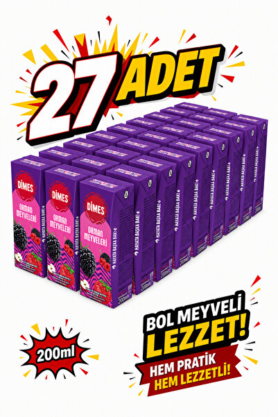 Dimes ORMAN MEYVELERİ 200 ML X 27 ADET