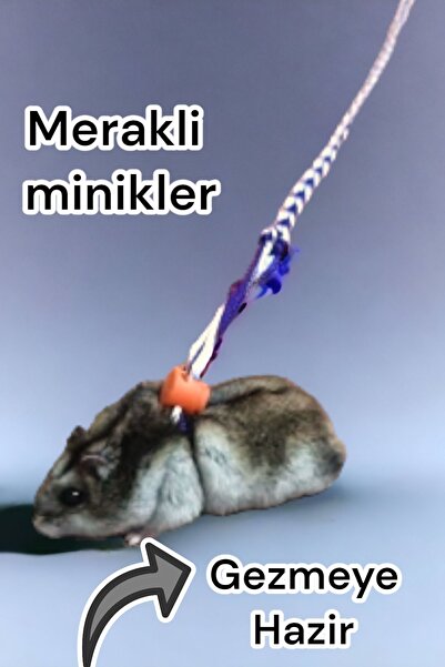 ozzipetshop Gonzales Hamster Tasması