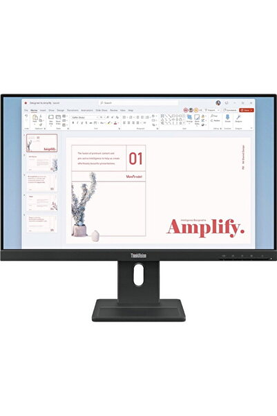 LENOVO ThinkVision E24-40 23.8 inch IPS FHD
