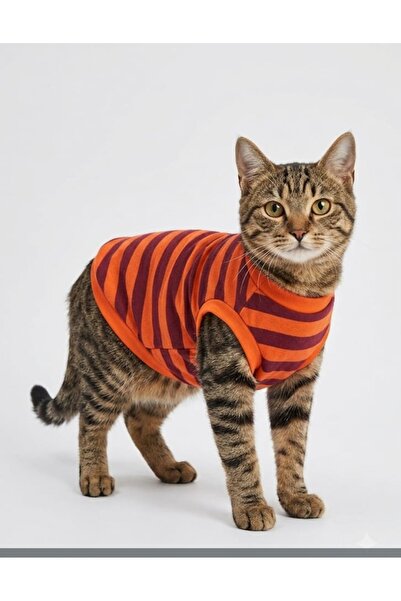 atelyu kedi köpek kıyafeti mor çizgili tshirt atlet