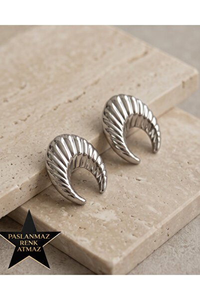 stainless steell 316L Steel Silver Croissant Women's Earrings