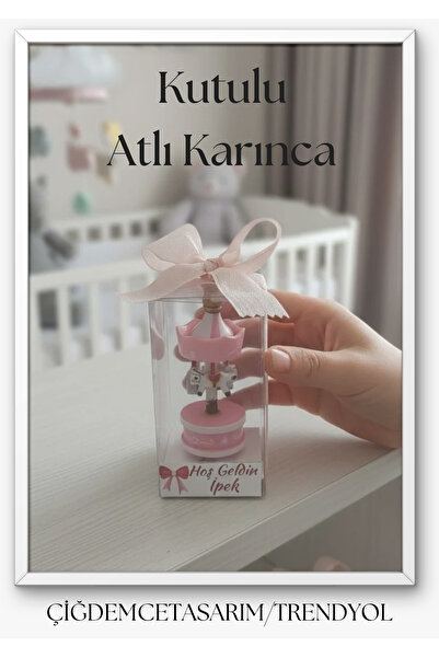 çiğdemcetasarım 15 Adet İsme ÖZEL kurdeleli kutulu atlı karınca