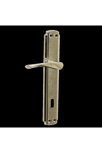 Go İthalat Bravo Oda Gray Nickel Door Handle Set (5491)