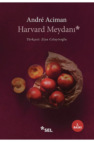 Sel Yayıncılık Harvard Meydanı