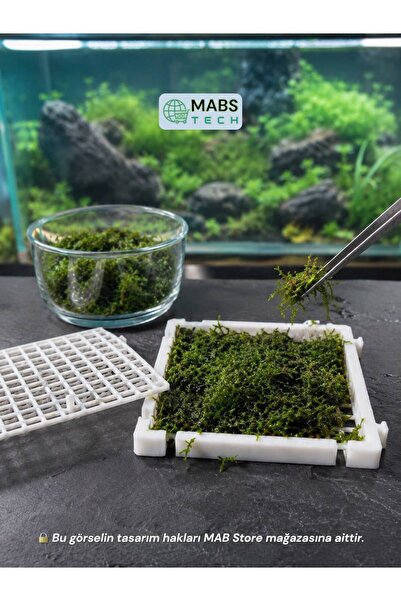 Mabs Tech Akvaryum Zemini Moss Halısı Kaplama Aparatı (1 adet) – Moss Teli Yerine Kullanılan 60x60 mm Modüler Moss Izgara Tepsisi
