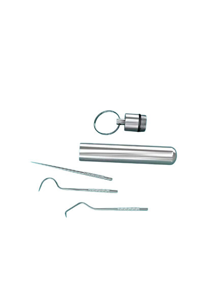 Choice1 3pcs Stainless Steel Toothpick Set Reusable Toothpicks Tooth Flossing...